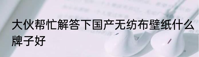 大伙帮忙解答下国产无纺布壁纸什么牌子好