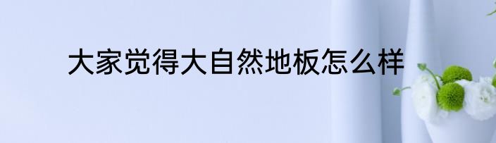 大家觉得大自然地板怎么样