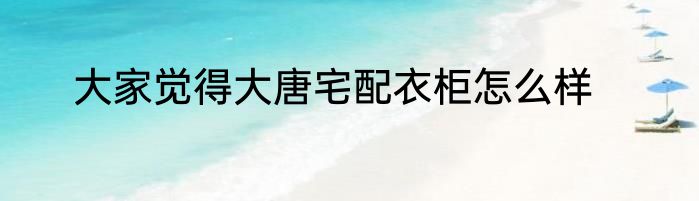 大家觉得大唐宅配衣柜怎么样