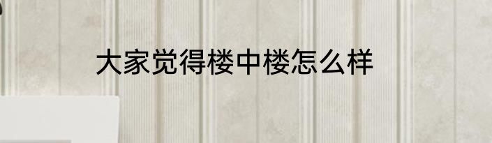大家觉得楼中楼怎么样