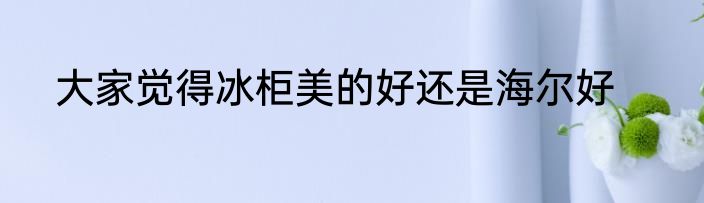 大家觉得冰柜美的好还是海尔好