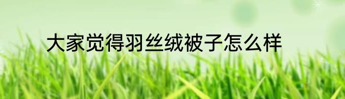 大家觉得羽丝绒被子怎么样