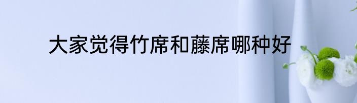 大家觉得竹席和藤席哪种好