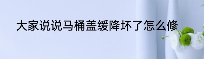 大家说说马桶盖缓降坏了怎么修