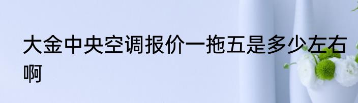 大金中央空调报价一拖五是多少左右啊