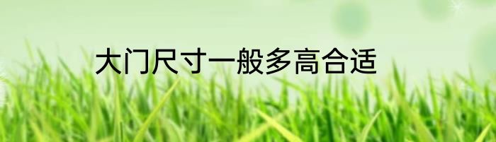 大门尺寸一般多高合适