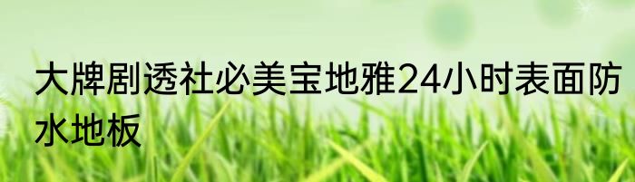 大牌剧透社必美宝地雅24小时表面防水地板