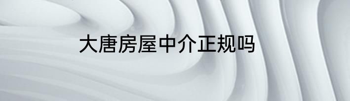 大唐房屋中介正规吗