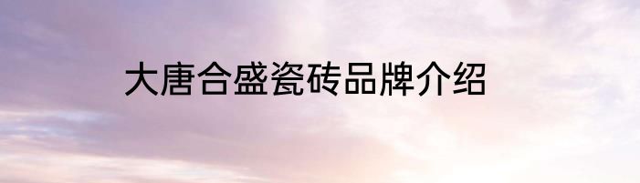 大唐合盛瓷砖品牌介绍