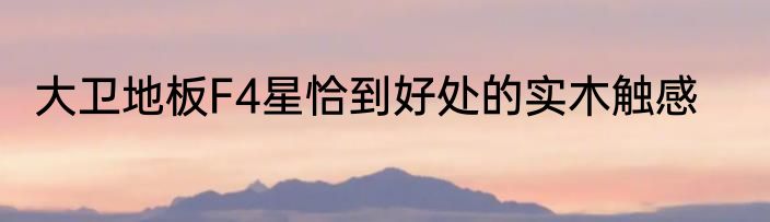 大卫地板F4星恰到好处的实木触感