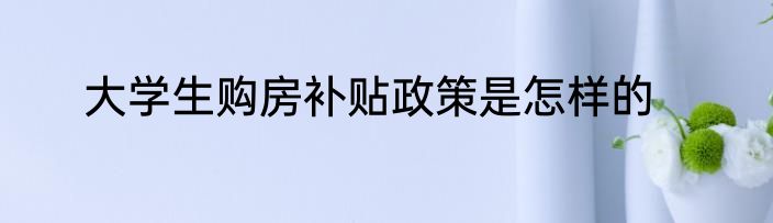 大学生购房补贴政策是怎样的