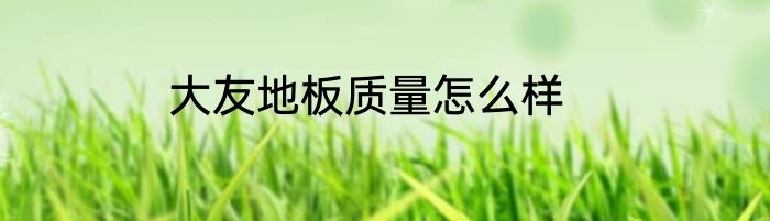 大友地板质量怎么样
