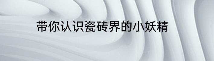 带你认识瓷砖界的小妖精