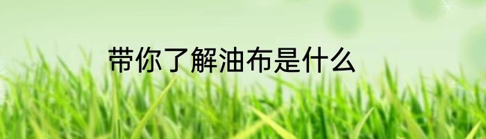 带你了解油布是什么