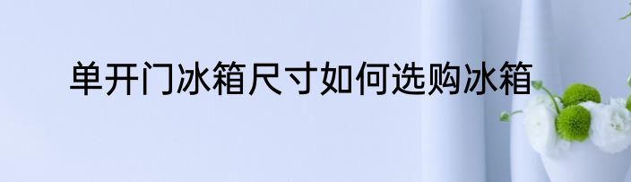 单开门冰箱尺寸如何选购冰箱
