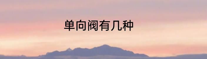 单向阀有几种