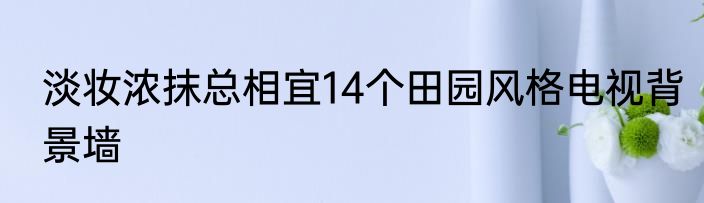 淡妆浓抹总相宜14个田园风格电视背景墙