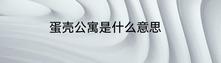 蛋壳公寓是什么意思