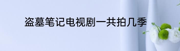 盗墓笔记电视剧一共拍几季