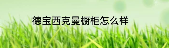 德宝西克曼橱柜怎么样