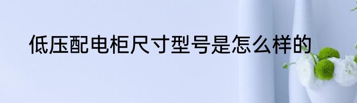 低压配电柜尺寸型号是怎么样的