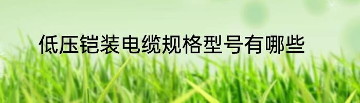 低压铠装电缆规格型号有哪些