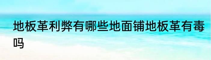地板革利弊有哪些地面铺地板革有毒吗