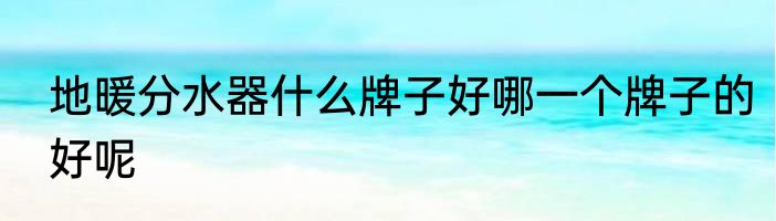 地暖分水器什么牌子好哪一个牌子的好呢