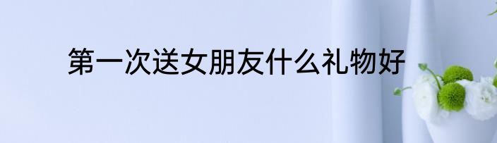 第一次送女朋友什么礼物好