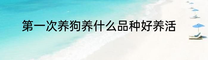 第一次养狗养什么品种好养活
