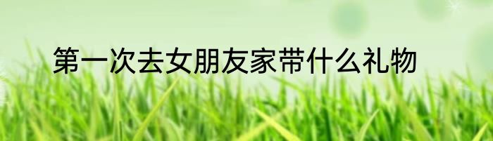 第一次去女朋友家带什么礼物