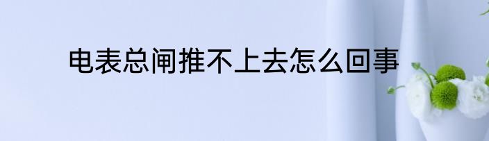 电表总闸推不上去怎么回事