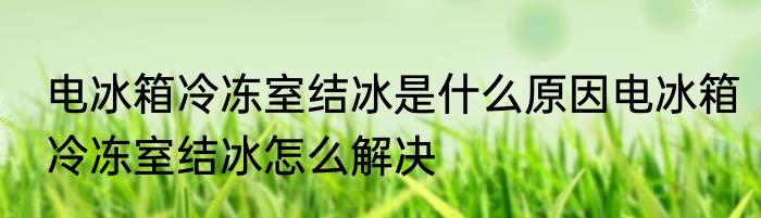 电冰箱冷冻室结冰是什么原因电冰箱冷冻室结冰怎么解决