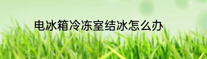 电冰箱冷冻室结冰怎么办