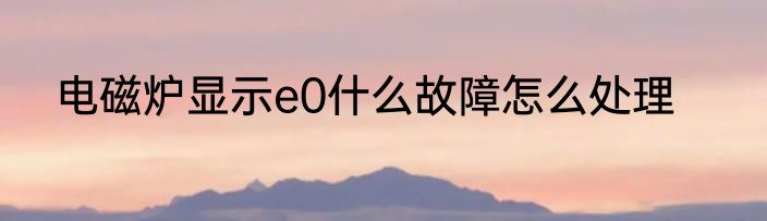 电磁炉显示e0什么故障怎么处理