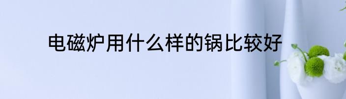 电磁炉用什么样的锅比较好