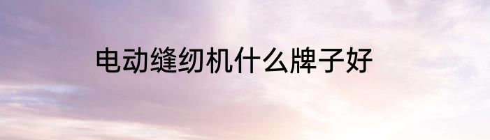 电动缝纫机什么牌子好