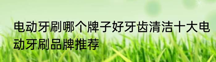 电动牙刷哪个牌子好牙齿清洁十大电动牙刷品牌推荐