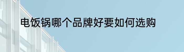 电饭锅哪个品牌好要如何选购