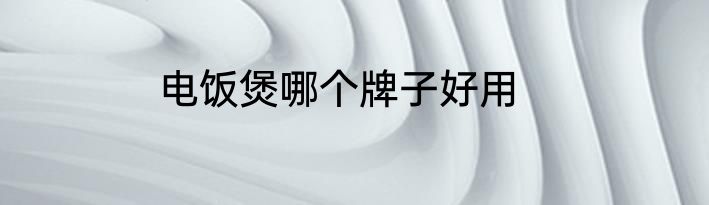 电饭煲哪个牌子好用