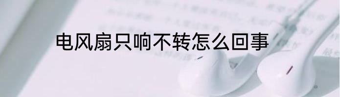 电风扇只响不转怎么回事