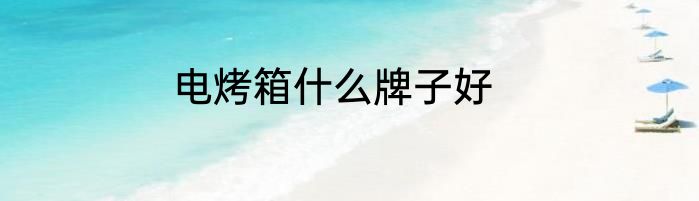 电烤箱什么牌子好