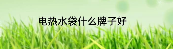 电热水袋什么牌子好