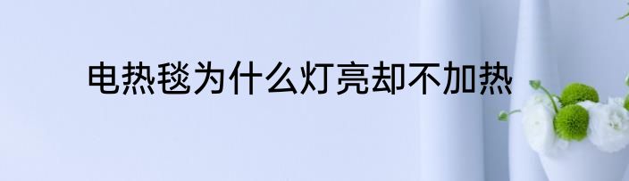 电热毯为什么灯亮却不加热