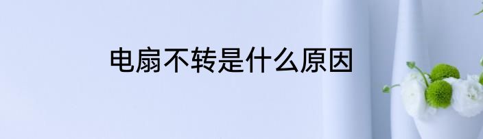 电扇不转是什么原因