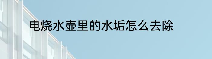 电烧水壶里的水垢怎么去除