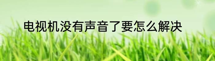 电视机没有声音了要怎么解决