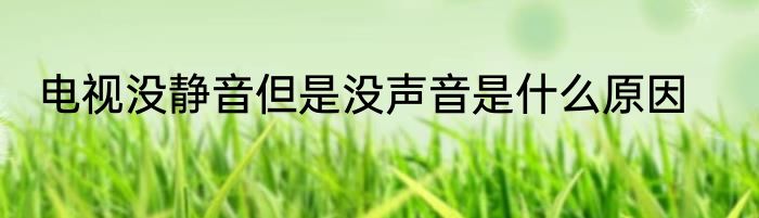 电视没静音但是没声音是什么原因