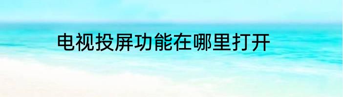 电视投屏功能在哪里打开