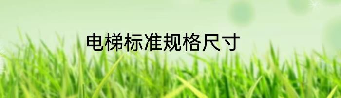 电梯标准规格尺寸
